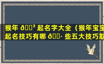 猴年 🌳 起名字大全（猴年宝宝起名技巧有哪 🕷 些五大技巧取好名字）